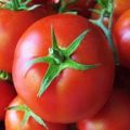 نرخ تفاله گوجه درجه یک خوراک دام اعلام شد