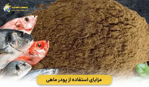 مزایای استفاده از پودر ماهی