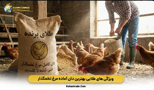 ویژگی‌ های طلایی بهترین دان آماده مرغ تخمگذار