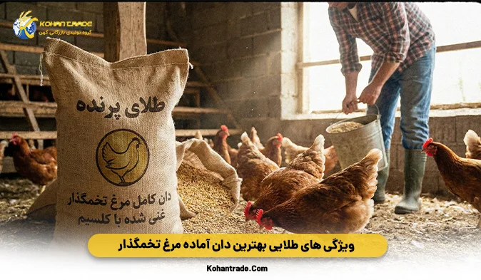 ویژگی‌ های طلایی بهترین دان آماده مرغ تخمگذار