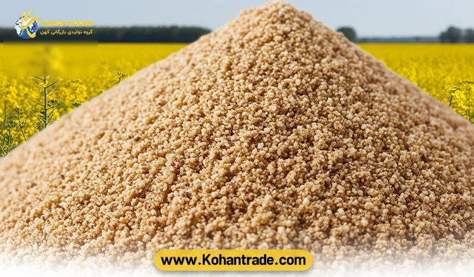 کنجاله کلزا - بررسی جامع و تخصصی