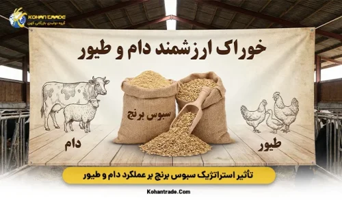 تأثیر استراتژیک سبوس برنج بر عملکرد دام و طیور