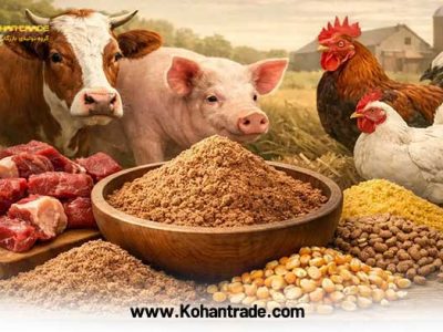 مزایا و ویژگی های پودر گوشت درجه یک دام و طیور