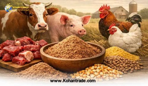 مزایا و ویژگی های پودر گوشت درجه یک دام و طیور