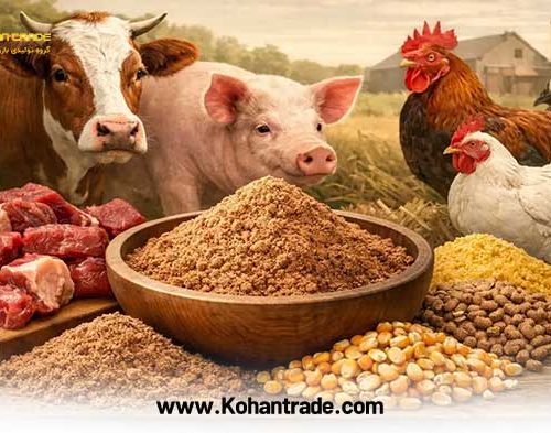 مزایا و ویژگی های پودر گوشت درجه یک دام و طیور