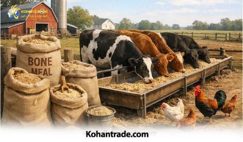 اهمیت کلسیم و فسفر در جیره دام و طیور