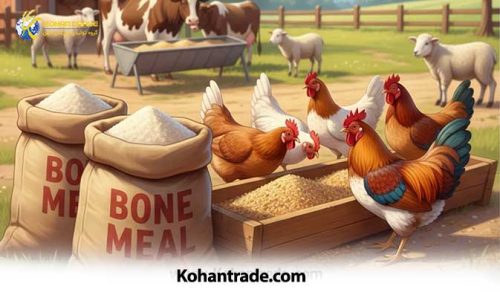پودر استخوان؛ بهترین منبع کلسیم و فسفر در جیره دام و طیور
