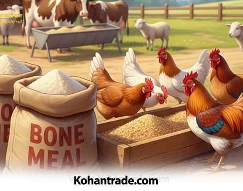 پودر استخوان؛ بهترین منبع کلسیم و فسفر در جیره دام و طیور