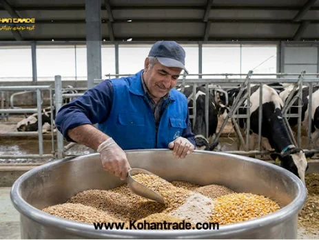 راهنمای تهیه کنسانتره گاو شیری پرشیر و متوسط + آنالیز تخصصی