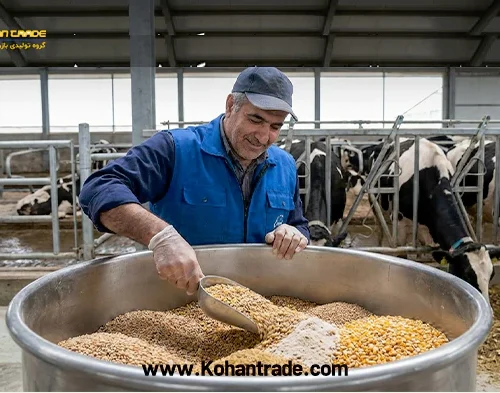 راهنمای تهیه کنسانتره گاو شیری پرشیر و متوسط + آنالیز تخصصی