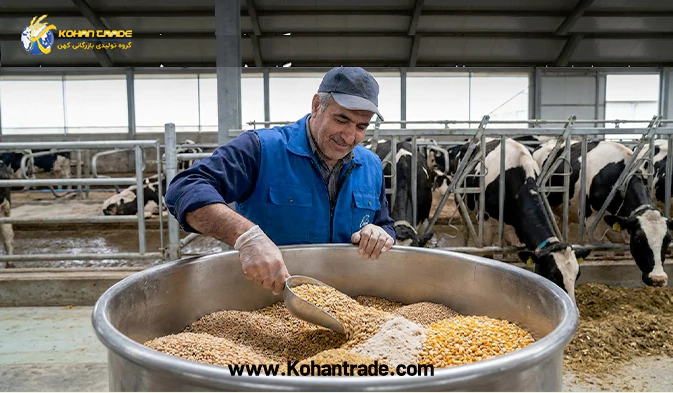 راهنمای تهیه کنسانتره گاو شیری پرشیر و متوسط + آنالیز تخصصی