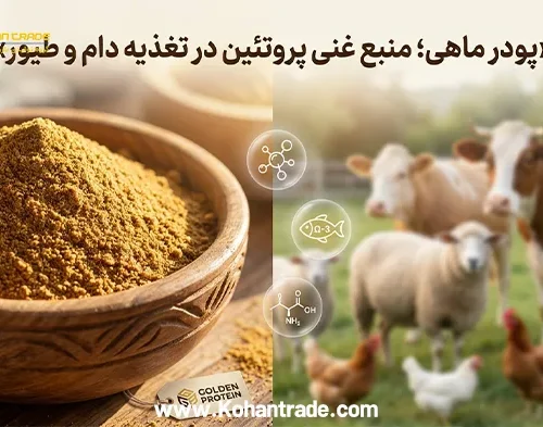 آیا پودر ماهی غنی‌ ترین منبع تامین پروتئین دام و طیور است؟