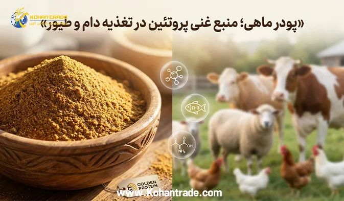 آیا پودر ماهی غنی‌ ترین منبع تامین پروتئین دام و طیور است؟