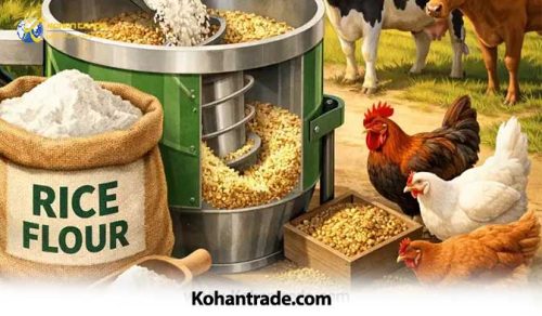 آرد برنج در جیره دام و طیور؛ بررسی ارزش غذایی محصولی ناشناخته