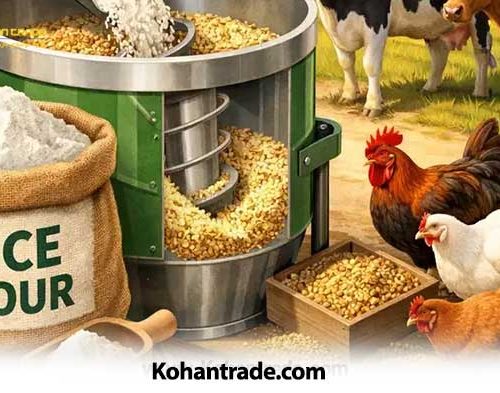 آرد برنج در جیره دام و طیور؛ بررسی ارزش غذایی محصولی ناشناخته