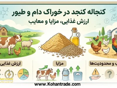 کنجاله کنجد در خوراک دام و طیور: ارزش غذایی، مزایا و معایب