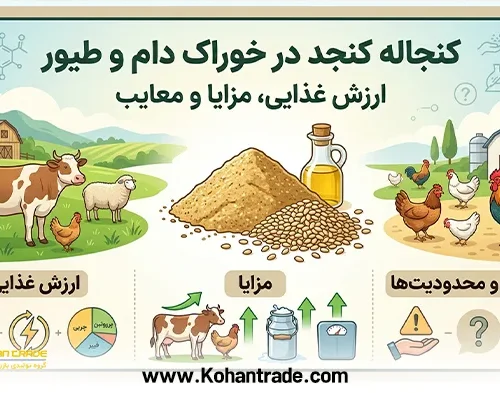کنجاله کنجد در خوراک دام و طیور: ارزش غذایی، مزایا و معایب