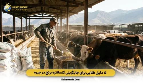 ۵ دلیل طلایی برای جایگزینی کنسانتره برنج در جیره