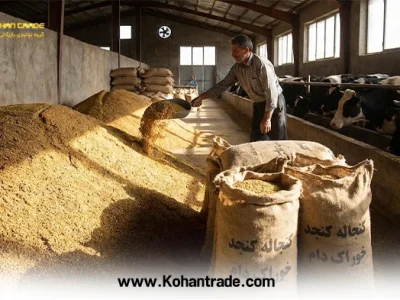 آنالیز کنجاله کنجد خوراک دام درجه یک + ارزش غذایی