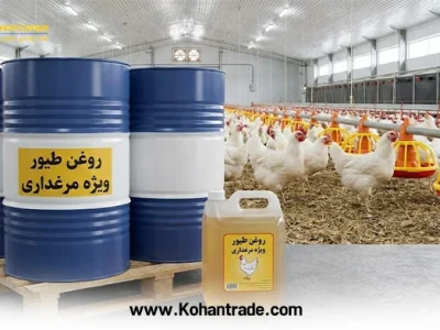 همه چیز درباره روغن طیور ویژه مرغداری