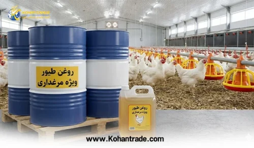 همه چیز درباره روغن طیور ویژه مرغداری