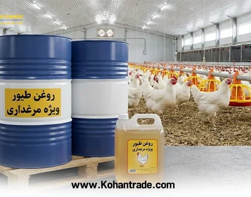 همه چیز درباره روغن طیور ویژه مرغداری