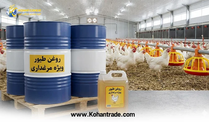 همه چیز درباره روغن طیور ویژه مرغداری