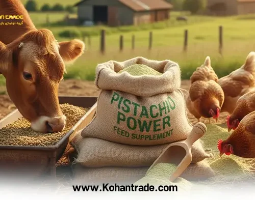 بررسی جامع مزایا، ویژگی‌ ها و کاربردهای پودر پسته در خوراک دام و طیور