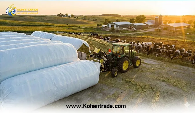 آنالیز قیمت سیلو ذرت بسته بندی؛ چرا خرید ارزان همیشه به نفع دامدار نیست؟