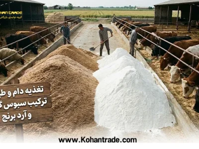 سبوس گندم بهتر است یا آرد برنج؟ بررسی تخصصی تفاوت‌ ها، ارزش غذایی و کاربردها