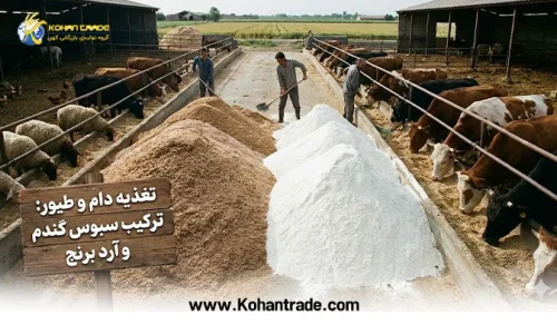 سبوس گندم بهتر است یا آرد برنج؟ بررسی تخصصی تفاوت‌ ها، ارزش غذایی و کاربردها