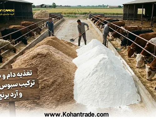 سبوس گندم بهتر است یا آرد برنج؟ بررسی تخصصی تفاوت‌ ها، ارزش غذایی و کاربردها