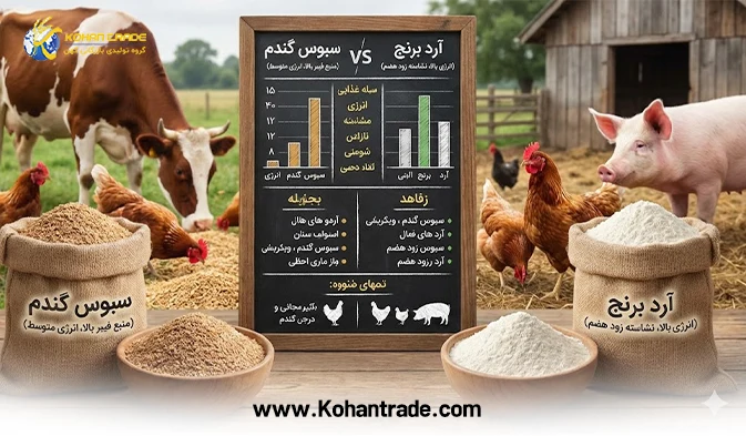 سبوس گندم بهتر است یا آرد برنج؟ بررسی تخصصی تفاوت ها
