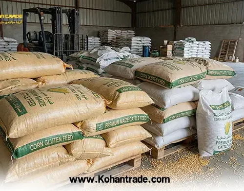 ذرت بسته بندی به صرفه ترین خوراک دام و طیور