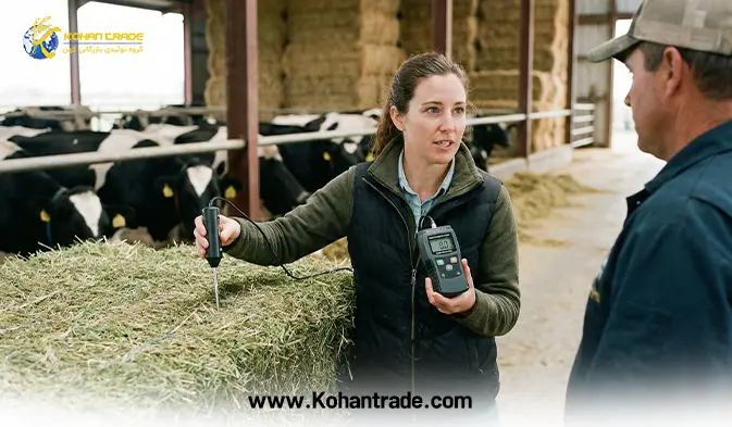 رطوبت استاندارد یونجه برای دامداری؛ مرز باریک میان کیفیت و خسارت (راهنمای جامع)