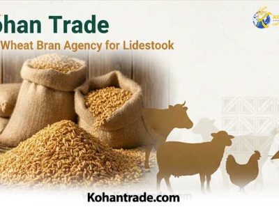 نمایندگی بهترین سبوس گندم دام