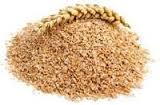 قیمت عمده بهترین انواع سبوس گندم دامی چقدر است؟