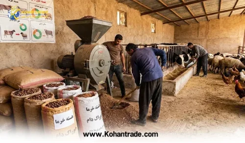 آنالیز هسته خرما در خوراک دام و طیور
