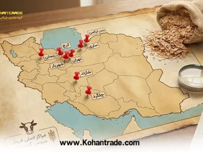 شهرهای محل فروش سبوس گندم دام در ایران (لیست کارخانجات و مراکز)