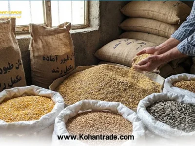 بررسی تخصصی ملاک قیمت و کیفیت در انتخاب دان آماده طیور