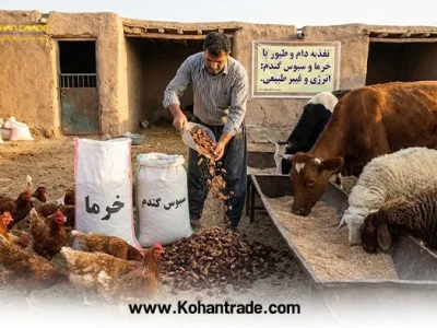 آنالیز هسته خرما و سبوس گندم در تغذیه دام و طیور