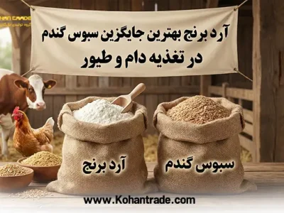آرد برنج بهترین جایگزین سبوس گندم