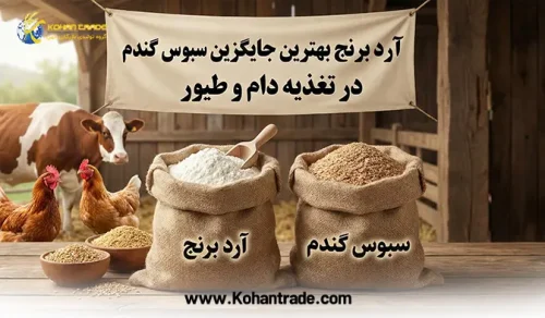 آرد برنج بهترین جایگزین سبوس گندم