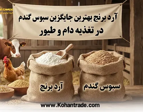 آرد برنج بهترین جایگزین سبوس گندم
