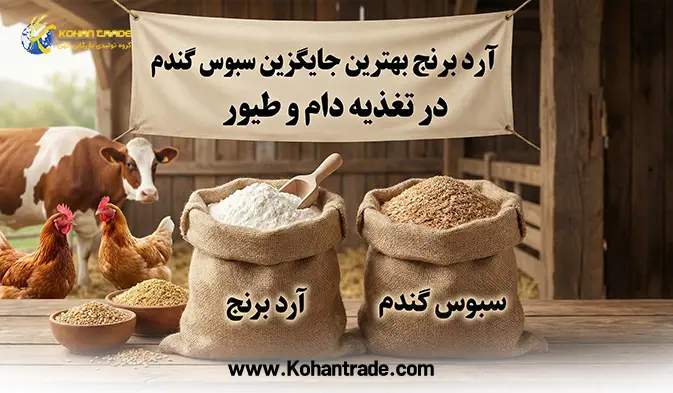 آرد برنج بهترین جایگزین سبوس گندم