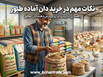 راهنمای جامع و نکات مهم در خرید دان آماده طیور