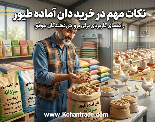 راهنمای جامع و نکات مهم در خرید دان آماده طیور