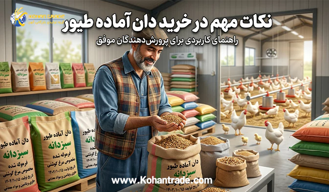 راهنمای جامع و نکات مهم در خرید دان آماده طیور