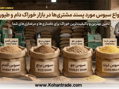انواع سبوس مورد پسند مشتری ها در بازار خوراک دام و طیور