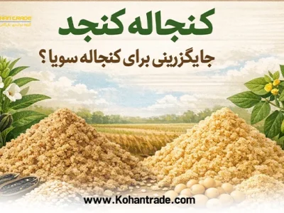 کنجاله کنجد جایگزینی برای کنجاله سویا؟ | مقایسه ارزش غذایی و قیمت